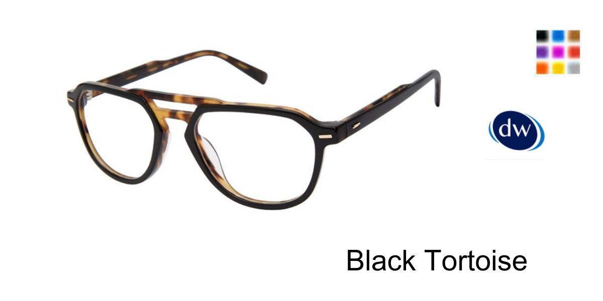 Black Tortoise              TM012