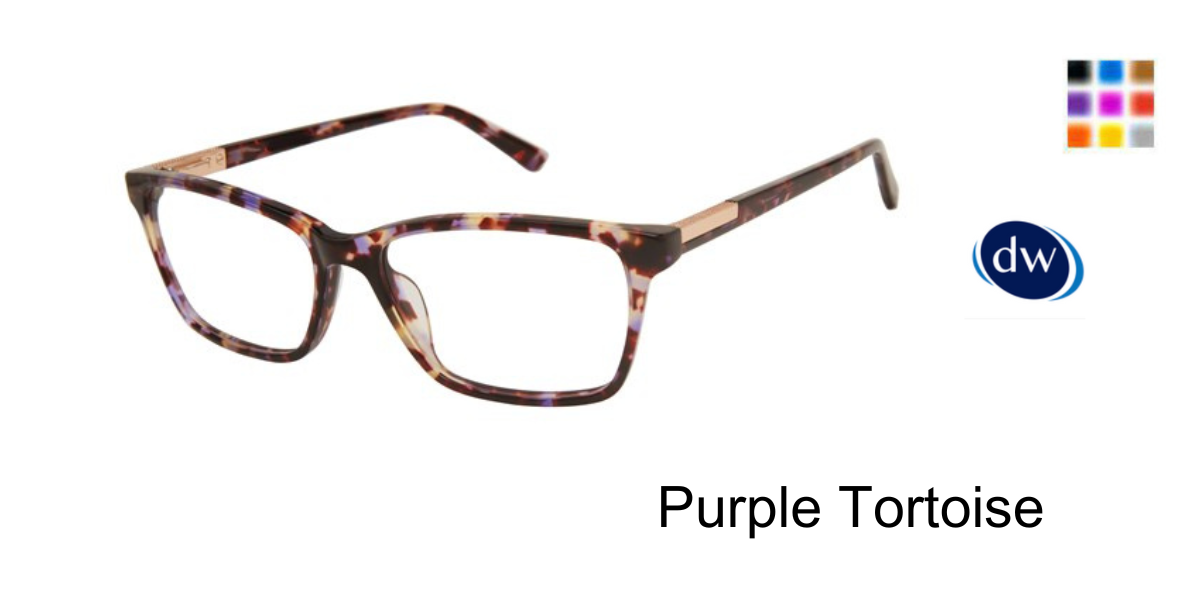 Purple Tortoise