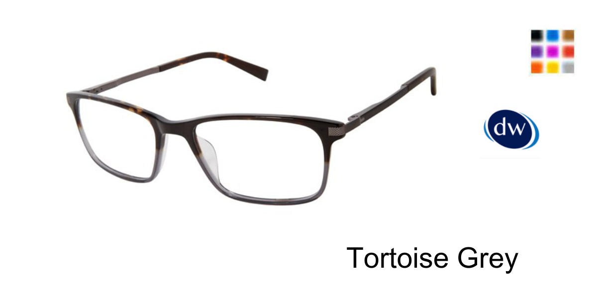 Tortoise Grey