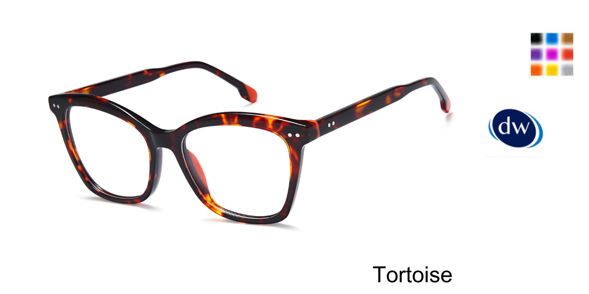 Tortoise   CS1136