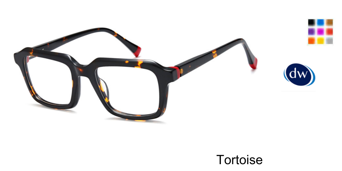 Tortoise   CO1113