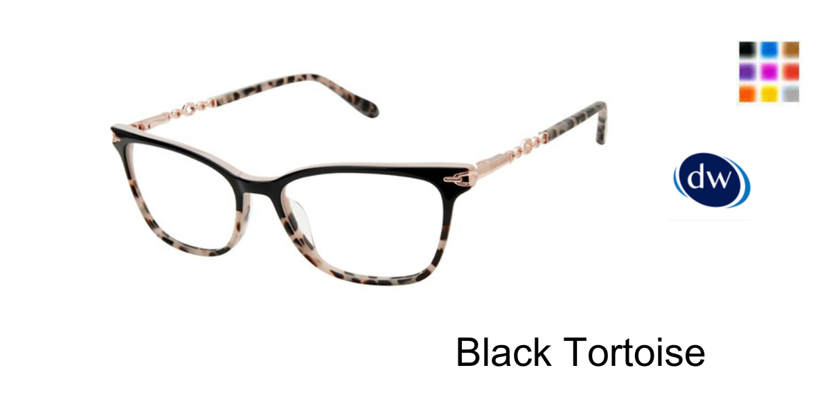 Black Tortoise     L242