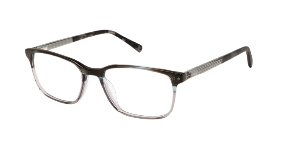 TED BAKER OPTICAL TFM019 Eyeglasses
