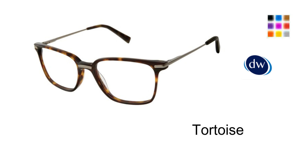 Tortoise          TB801