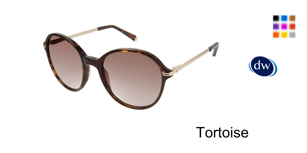 Tortoise        K531