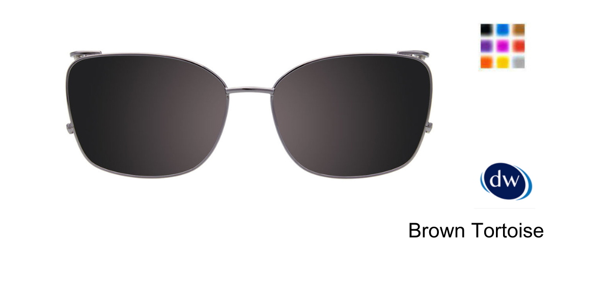 Brown Tortoise Clip-On