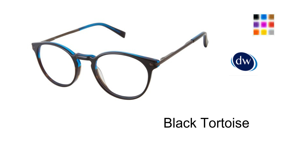 Black Tortoise               TFM006