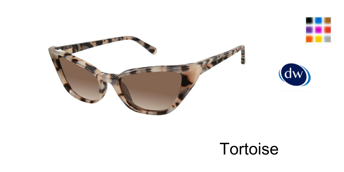 Tortoise           K557