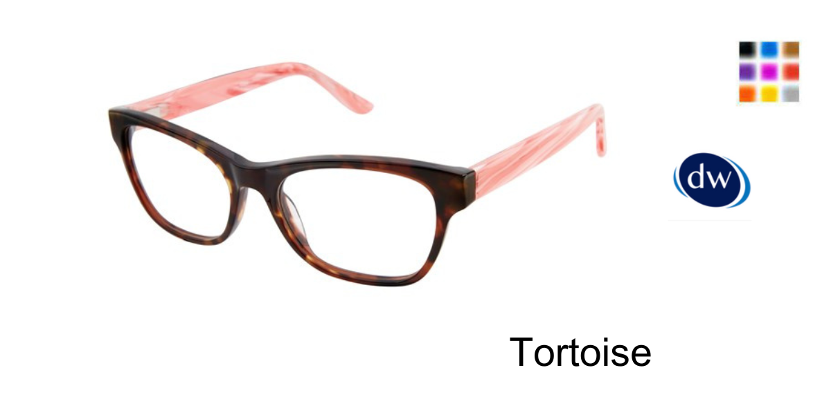 Tortoise     LESSA - GX046