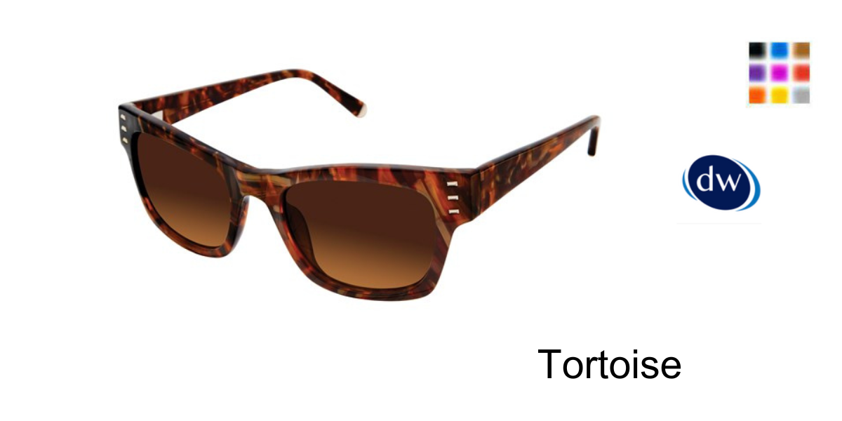 Tortoise          K539