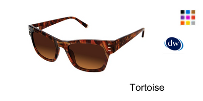 Tortoise          K539