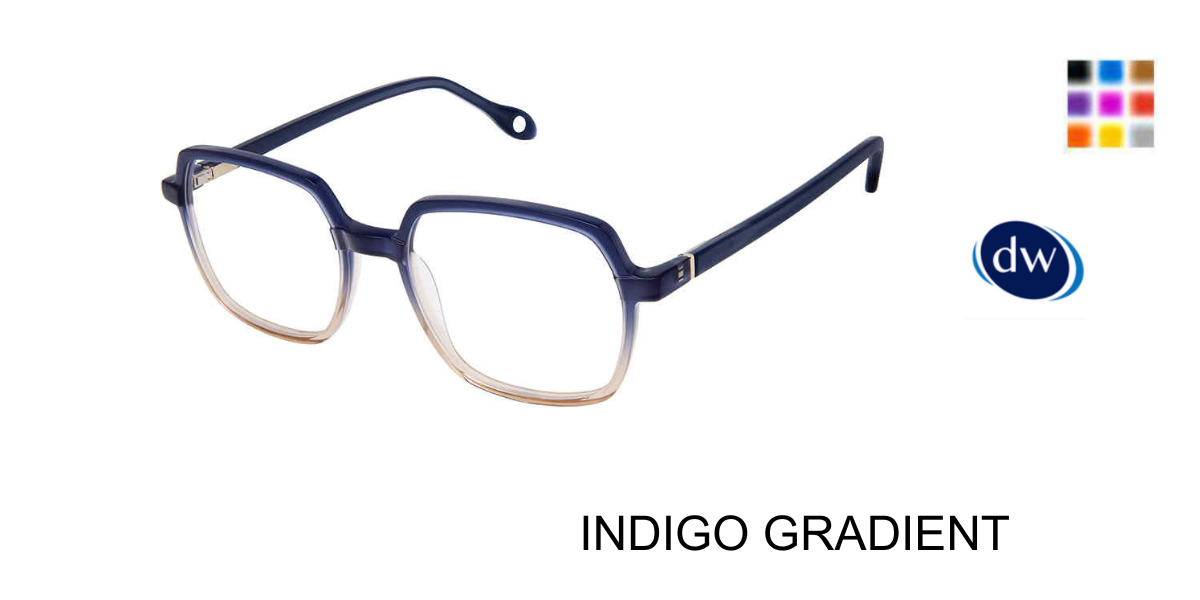 INDIGO GRADIENT F-3744