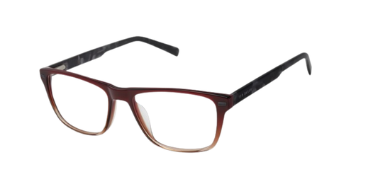 TED BAKER OPTICAL TFM018 Eyeglasses