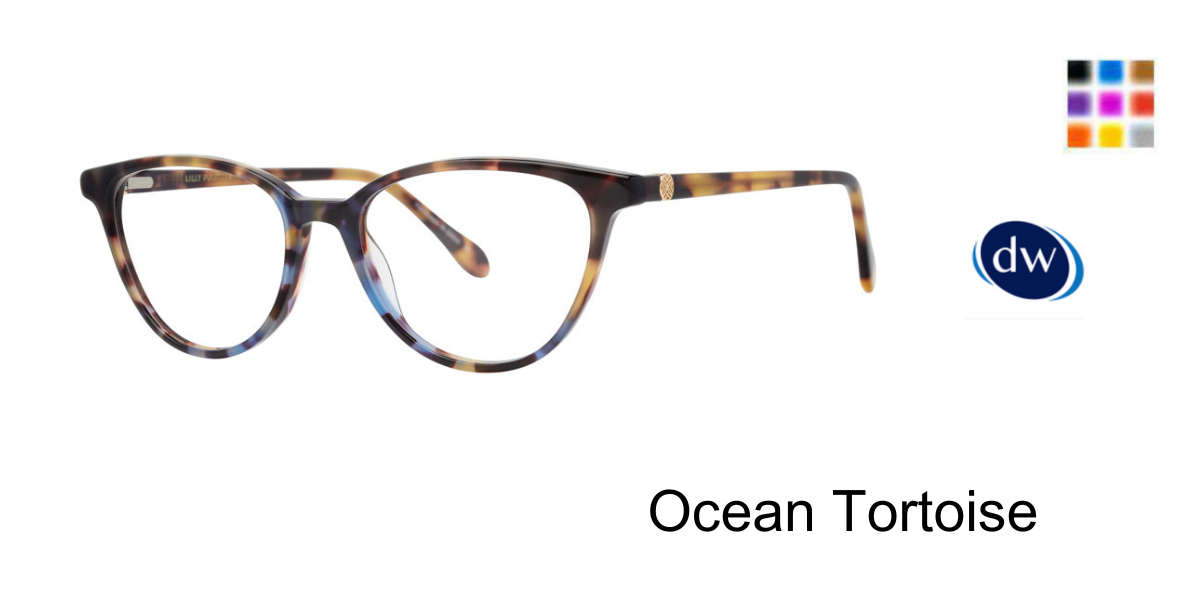 Ocean-Tortoise
