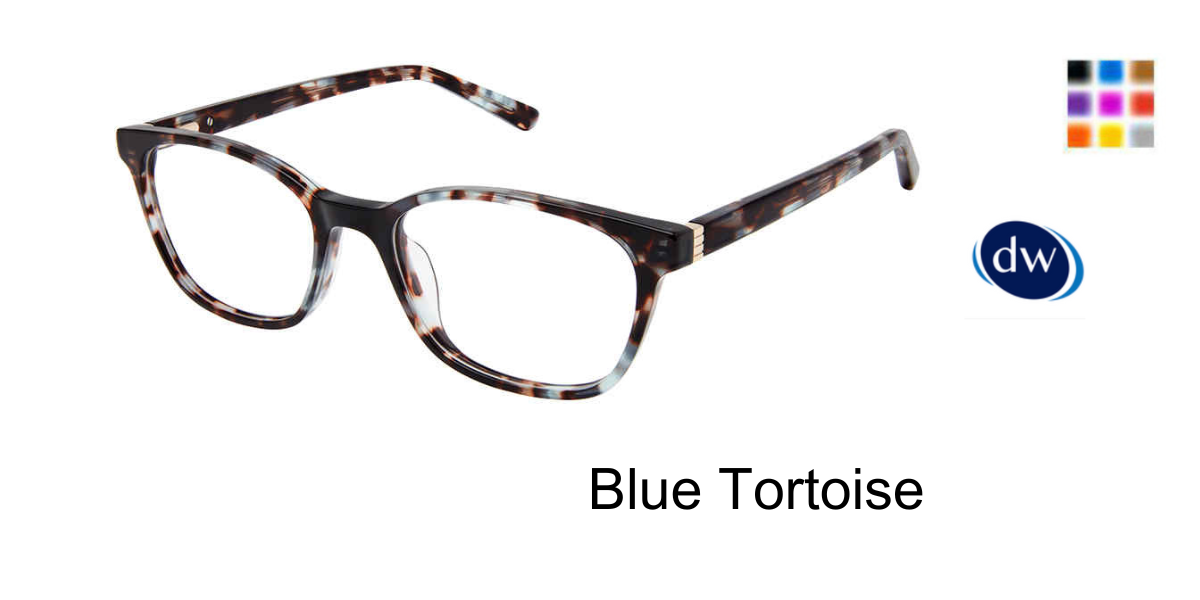 Blue Tortoise