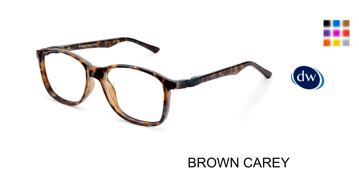 BROWN CAREY   B-FLEXIBLE