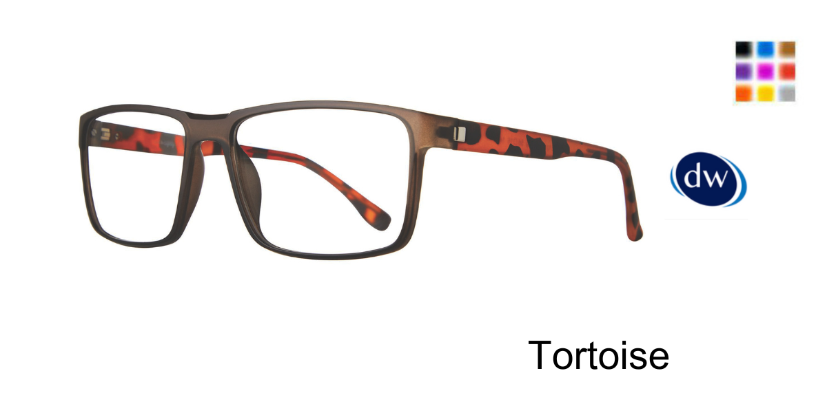 Tortoise          Eight to Eighty Enzo Eyeglasses