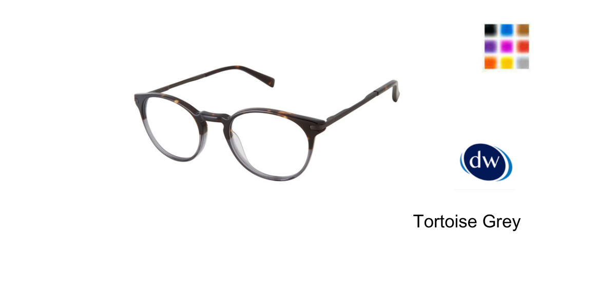 Tortoise Grey                TFM006