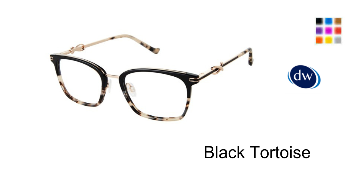 Black Tortoise       R806