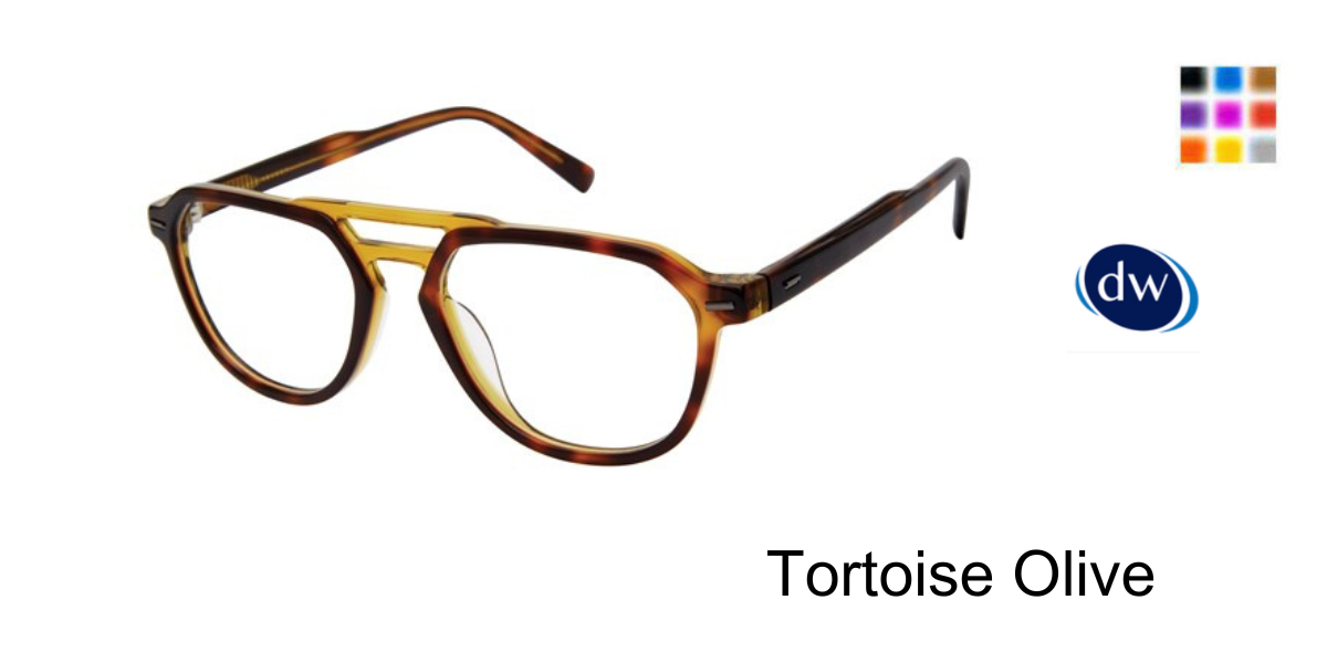 Tortoise Olive