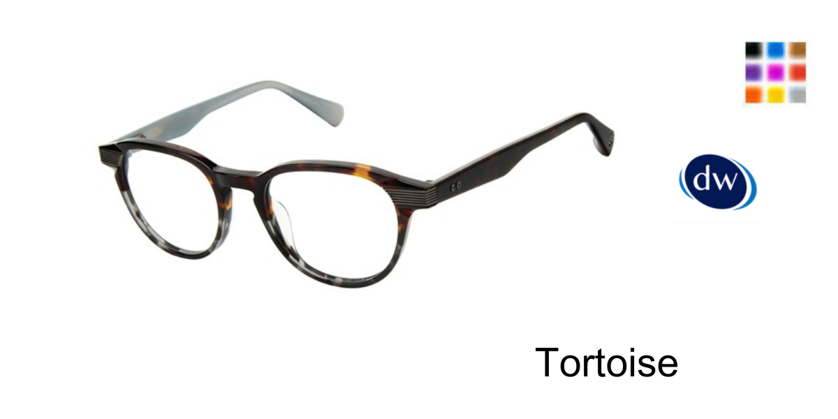 Tortoise           TLM004