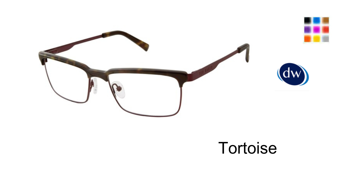 Tortoise        B351