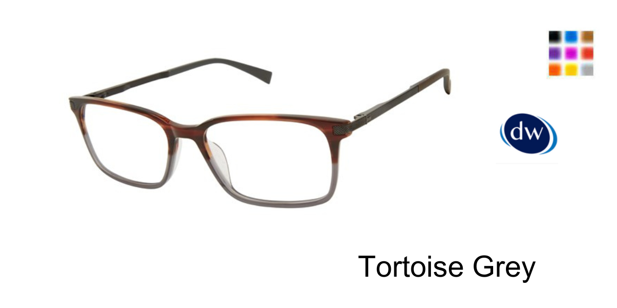 Tortoise Grey        TFM008