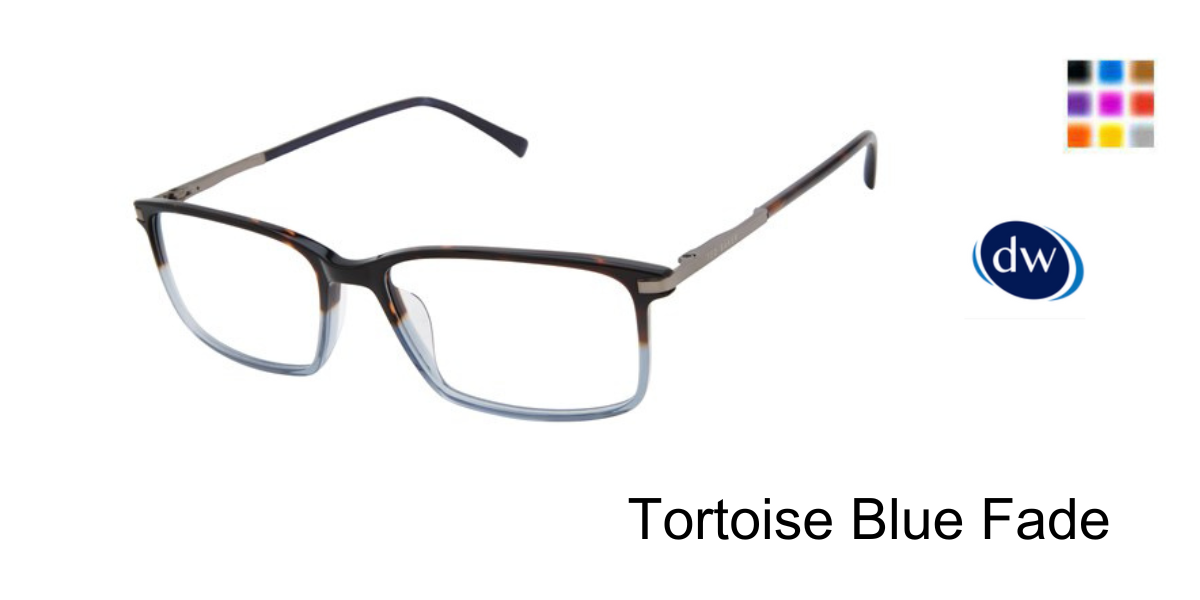 Tortoise Blue Fade                TXL005