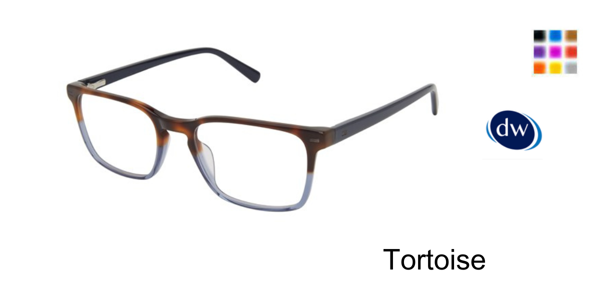 Tortoise           TM008