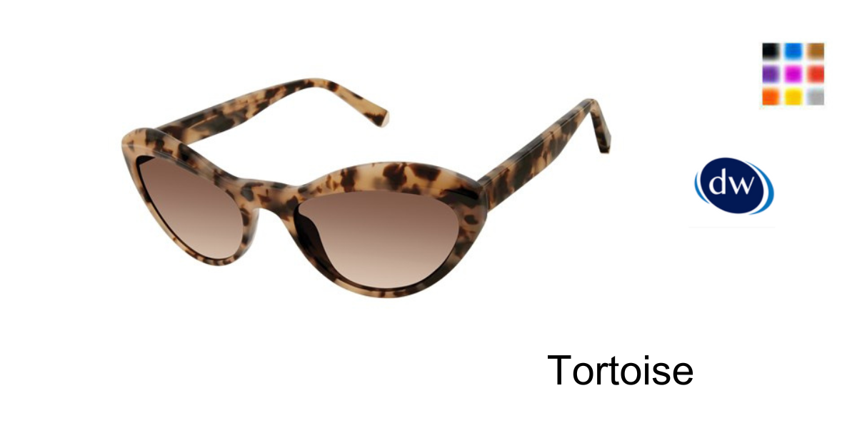 Tortoise           K551