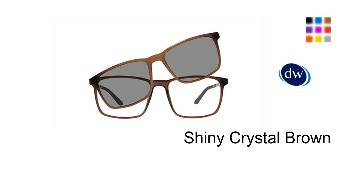 Special Link for Vivid 6027 Clip-On Only. Frame Not Included.