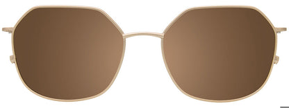 Tortoise Gold Tortoise Clip-On