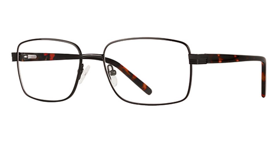 Black Dark Tortoise