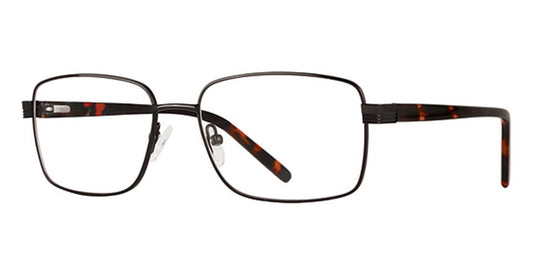 Black Dark Tortoise